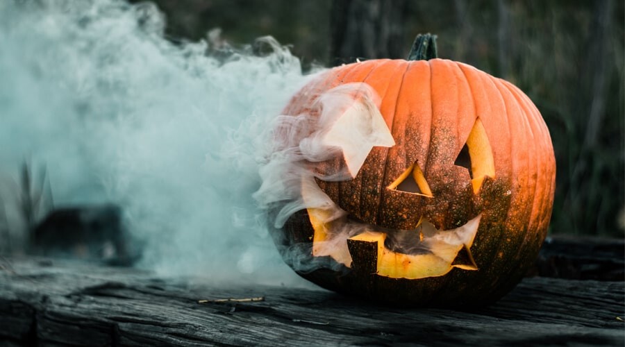 Panetory - Graphic Design Apparel - Accessories Online 1 Halloween Custome Ideas