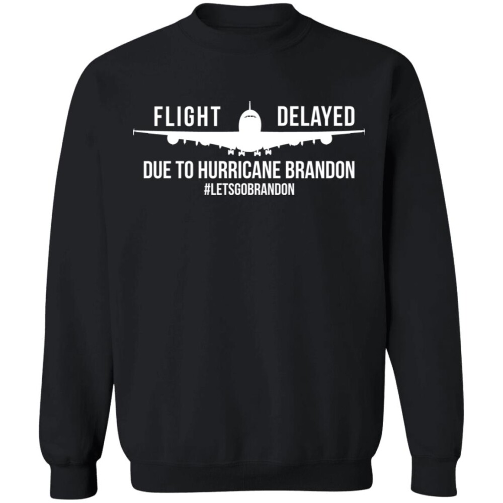 Flight Delayed Due To Hurricane Brandon Shirt 1