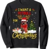 I Want Pitbull Dog Christmas Lights Santa Reindeer Sweatshirt