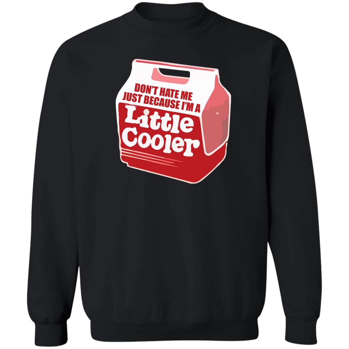 Don’t Hate Me Just Because I’m A Little Cooler Shirt 2