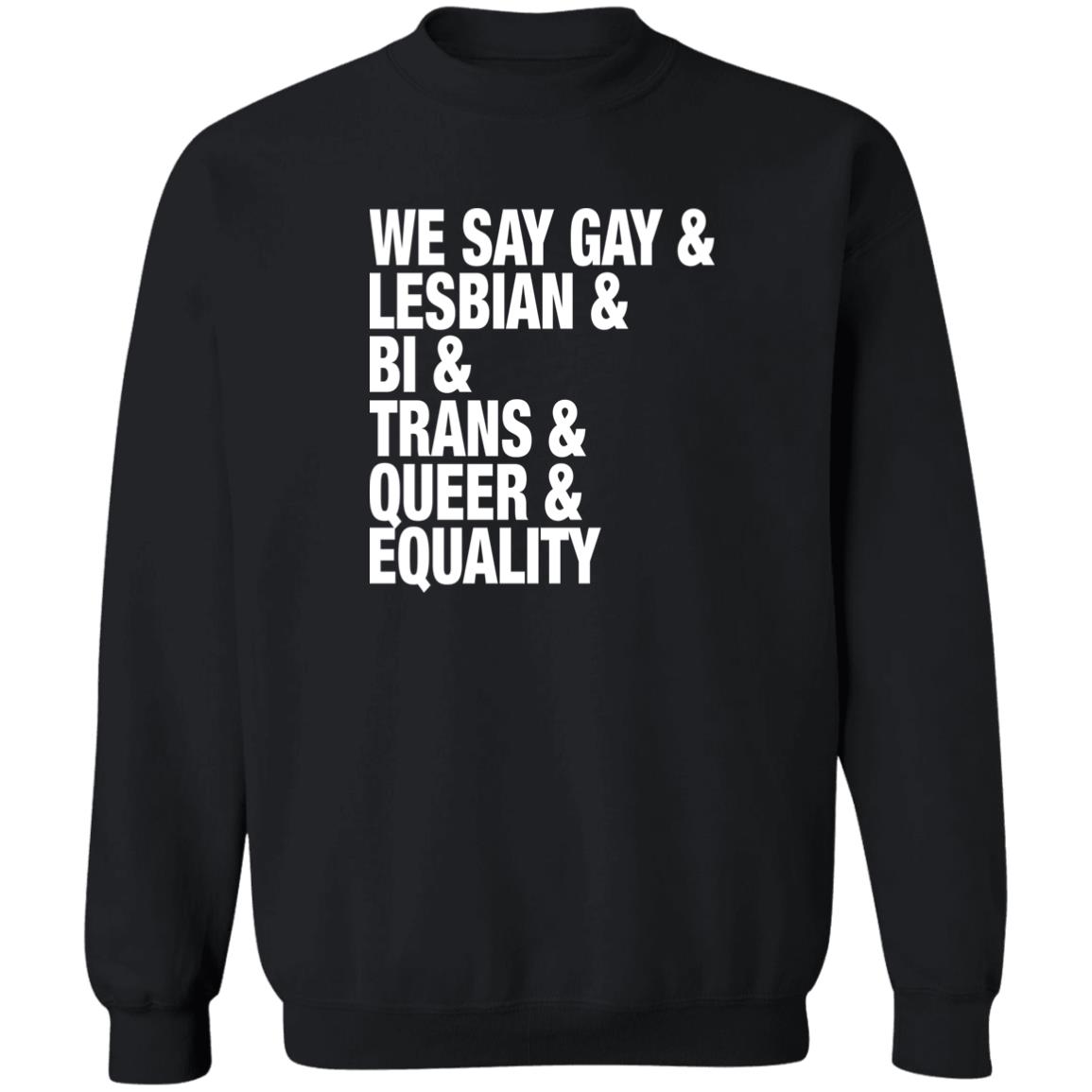 We Say Gay Lesbian Bi Trans Queer Equality Shirt 2
