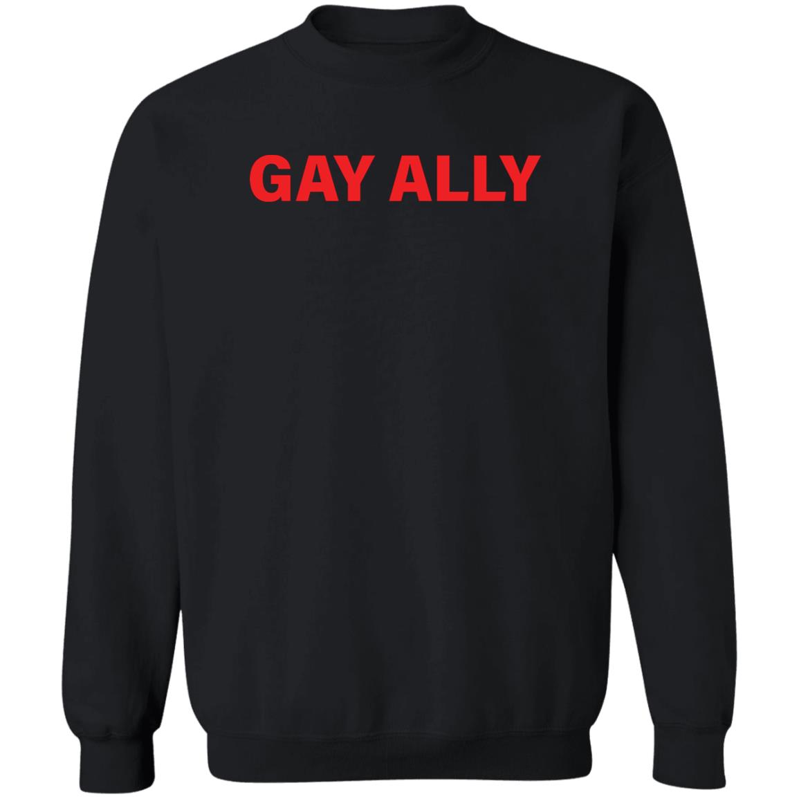 Gay Ally Shirt 2