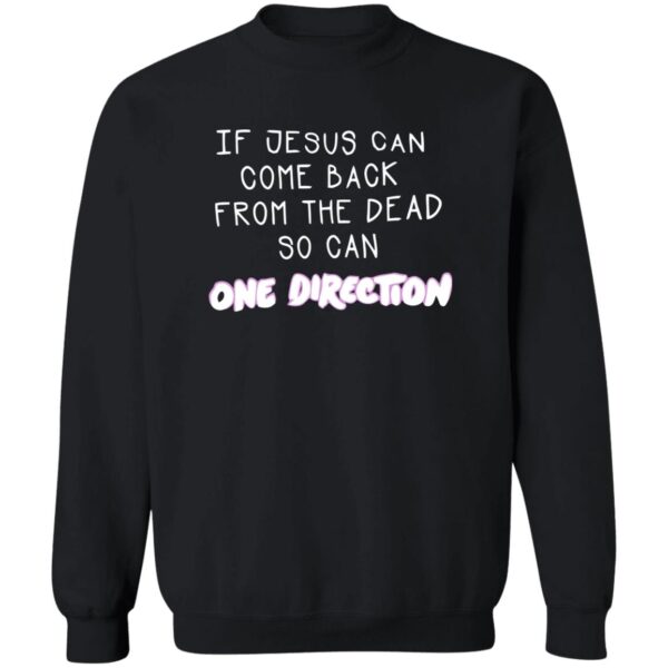 If Jesus Can Come Back From The Dead So Can One Direction Shirt