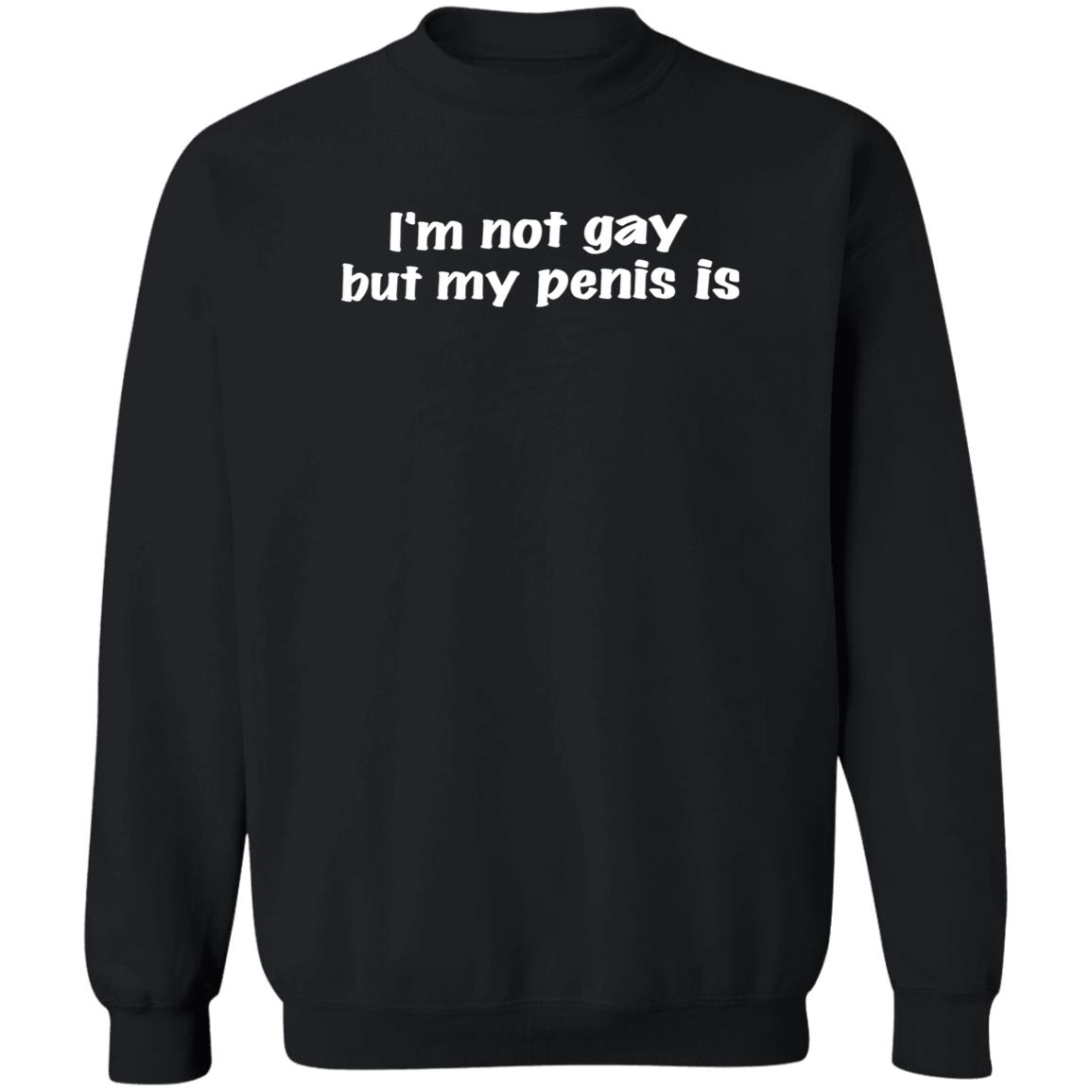 I’m Not Gay But My Penis Is Shirt 2