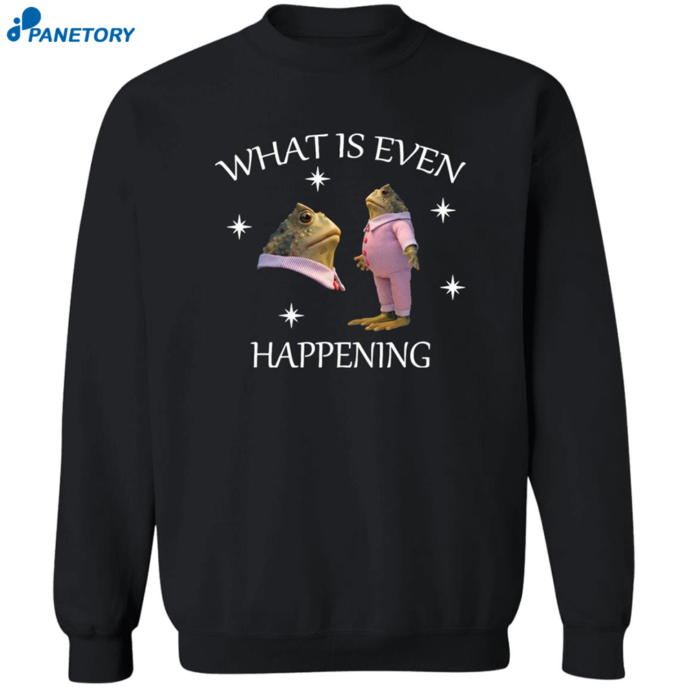 What Is Even Happening Frog Sweatshirt 2