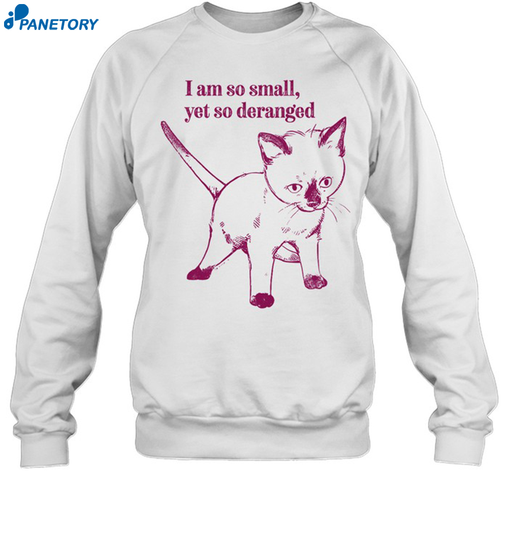 Catwheezie I Am So Small Yet So Deranged Shirt 6 Catwheezie I Am So Small Yet So Deranged Shirt 1