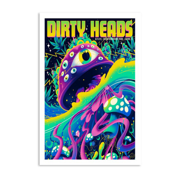 Dirty Heads Cocoa Riverfront Park August 11 2023 Poster