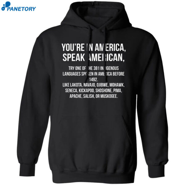 You'Re In America Speak American Try One Of The 381 Indigenous Shirt