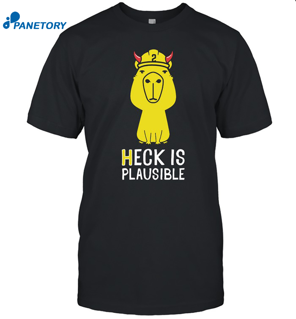 Heck Is Plausible 2023 Shirt 8 Heck Is Plausible 2023 Shirt