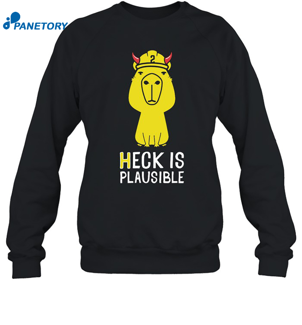 Heck Is Plausible 2023 Shirt 6 Heck Is Plausible 2023 Shirt 1