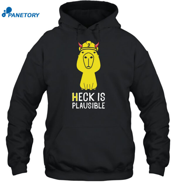 Heck Is Plausible 2023 Shirt