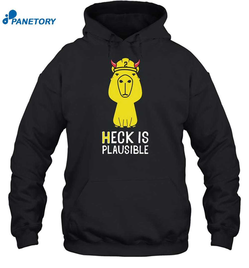 Heck Is Plausible 2023 Shirt 7 Heck Is Plausible 2023 Shirt 2