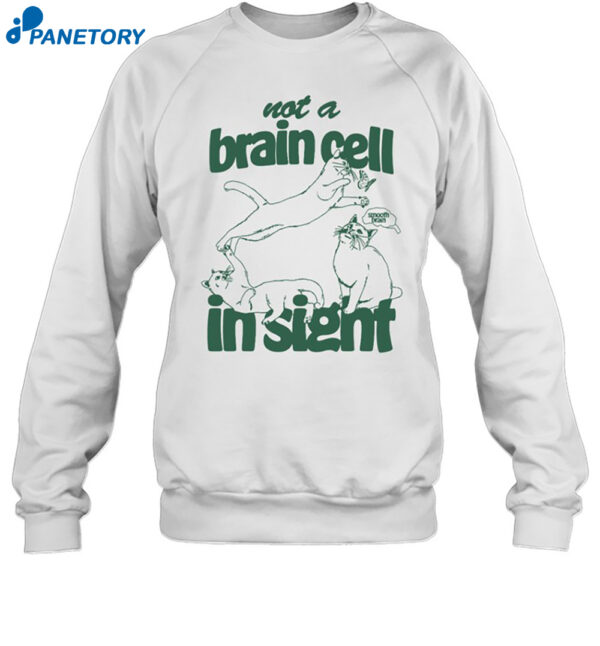 Not A Brain Cell In Sight Shirt