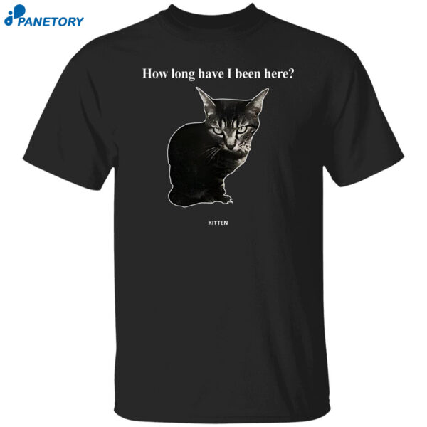 How Long Have I Been Here Kitten Cat Shirt
