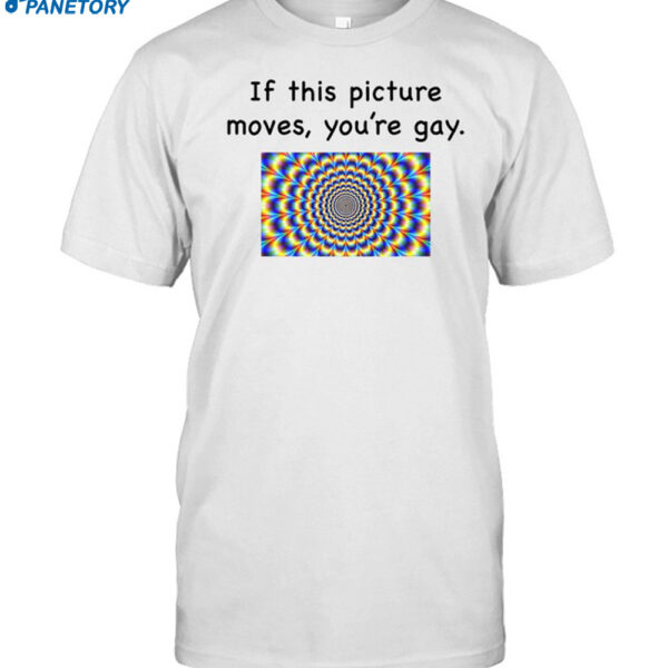 If This Picture Moves You're Gay Shirt