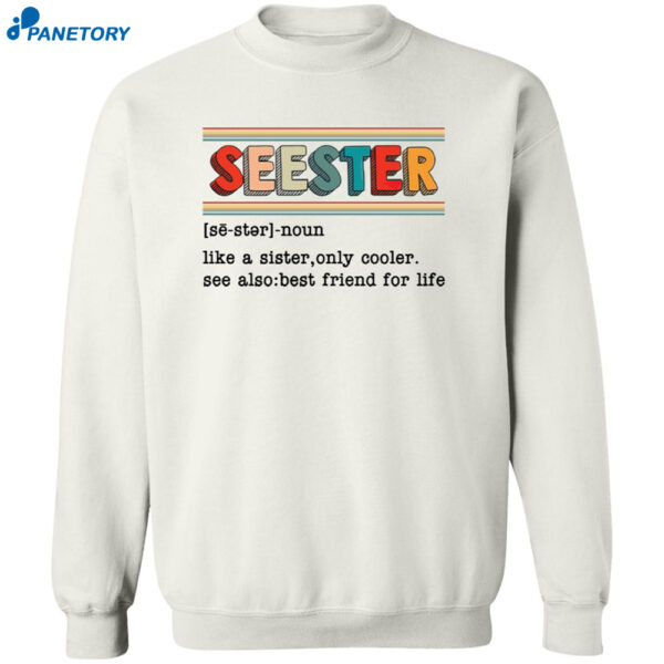Seester Like A Sister Only Cooler Sweatshirt