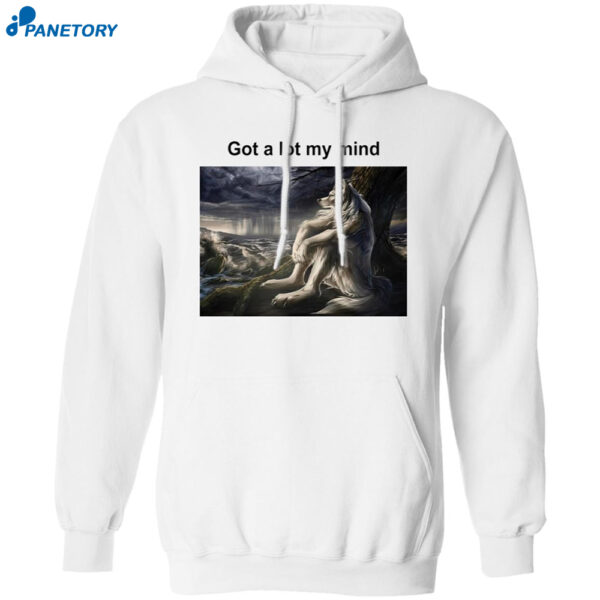 Wolf Funny Meme Got A Lot My Mind Shirt