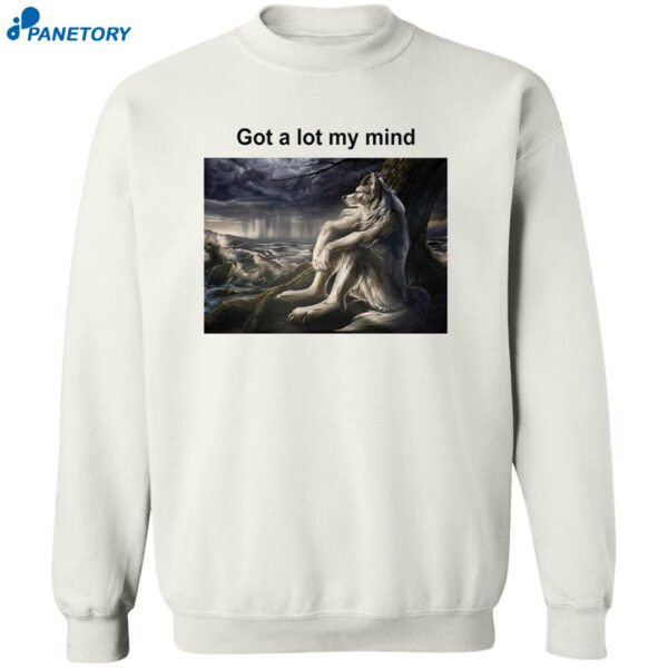 Wolf Funny Meme Got A Lot My Mind Shirt