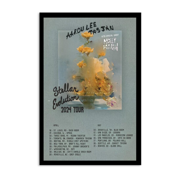 Aaron Lee Tasjan Stellar Evolution Tour 2024 Poster