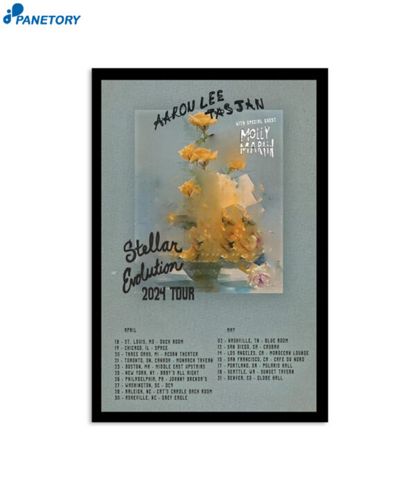 Aaron Lee Tasjan Stellar Evolution Tour 2024 Poster