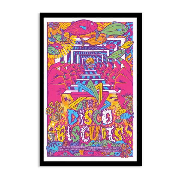 The Disco Biscuits Why We Dance Tour 2024 Poster