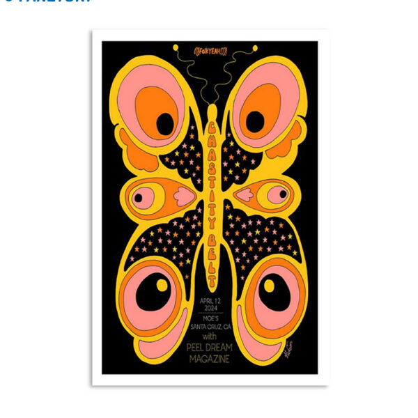 Chastity Belt Santa Cruz Moe's Alley 12 Apr 2024 Poster
