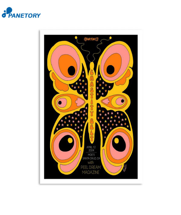 Chastity Belt Santa Cruz Moe's Alley 12 Apr 2024 Poster