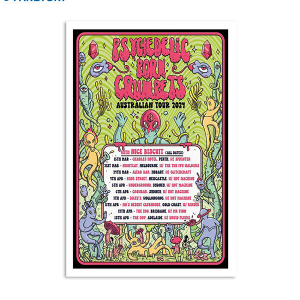 Psychedelic Porn Crumpets Australian Tour 2024 Poster
