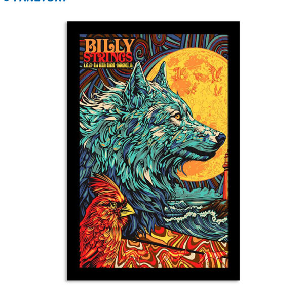 Billy Strings Allstate Arena Rosemont Il 5-24-2024 Poster