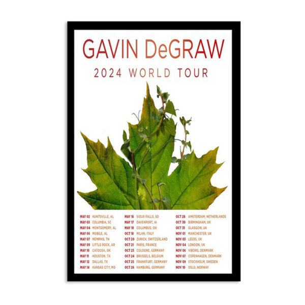Gavin Degraw 2024 World Tour Poster
