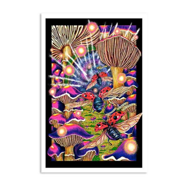 Tour The Disco Biscuits Why We Dance 2024 Poster