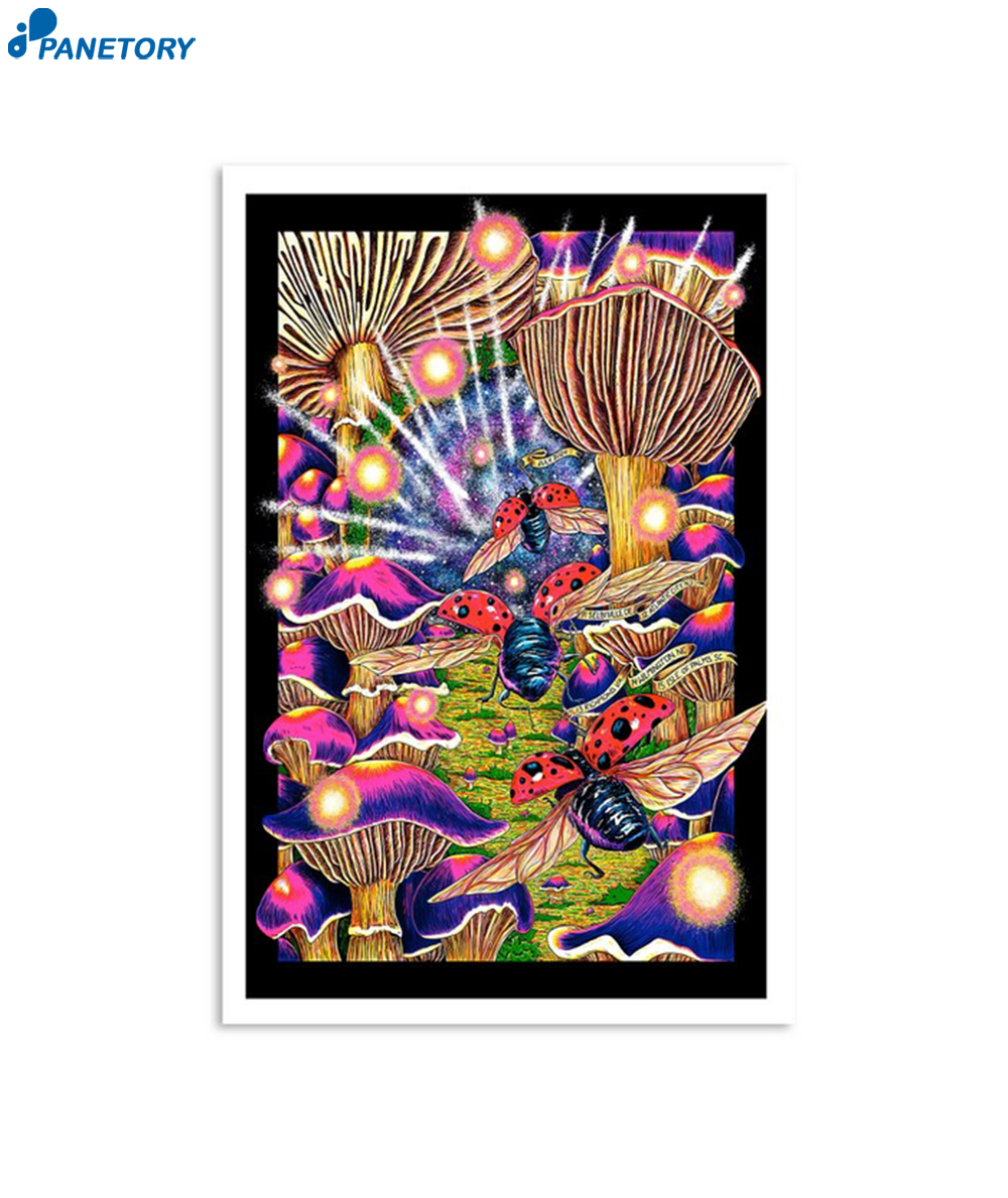 Tour The Disco Biscuits Why We Dance 2024 Poster 2 Tour The Disco Biscuits Why We Dance 2024 Poster