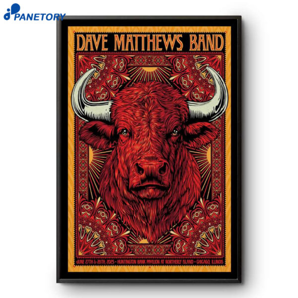 Dave Matthews Band Chicago IL Concert 2025 Poster