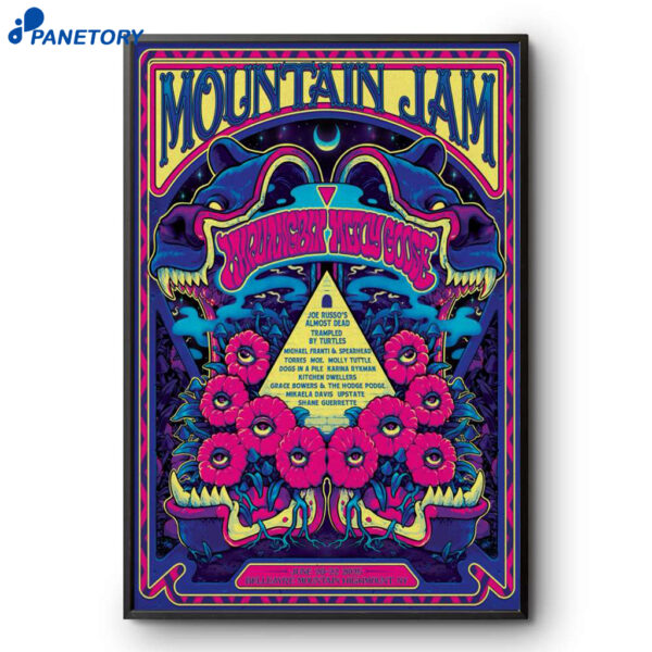 Mountain Jam Festival New York July 20-22 2025 Poster