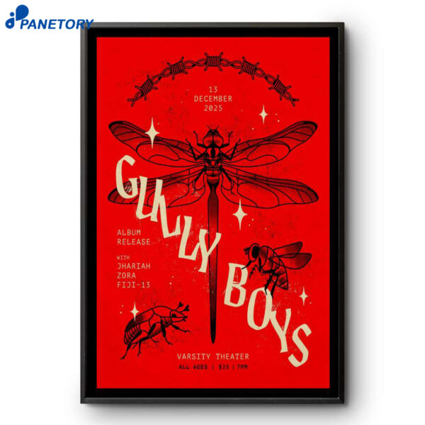Gully Boys Tour Minneapolis MN December 13 2025 Poster
