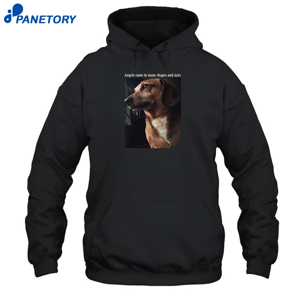 Mark Pellegrino Angels Come In Many Shapes And Sizes Shirt 7 Mark Pellegrino Angels Come In Many Shapes And Sizes Shirt 1