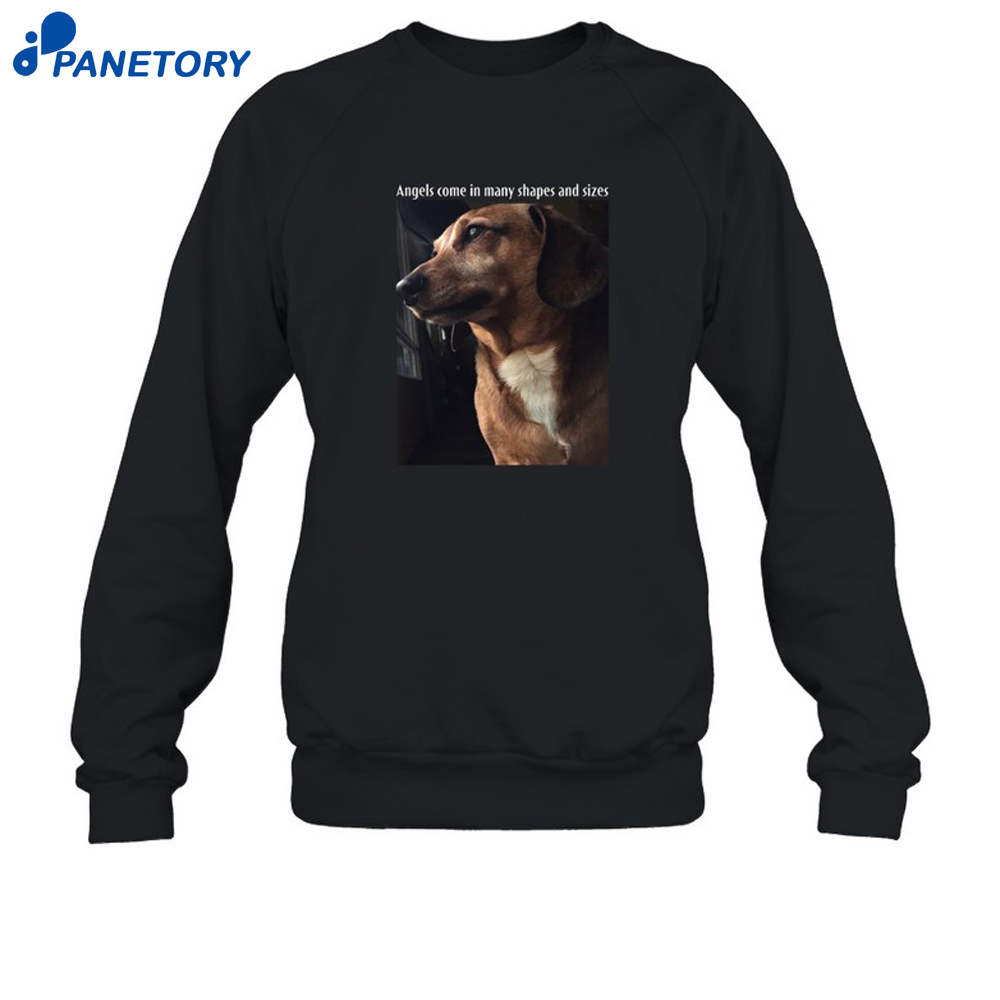 Mark Pellegrino Angels Come In Many Shapes And Sizes Shirt 6 Mark Pellegrino Angels Come In Many Shapes And Sizes Shirt 2