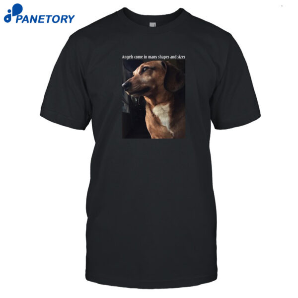 Mark Pellegrino Angels Come In Many Shapes And Sizes Shirt