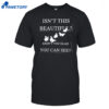 Isn't This Beautiful Aren't You Glad You Can See Shirt