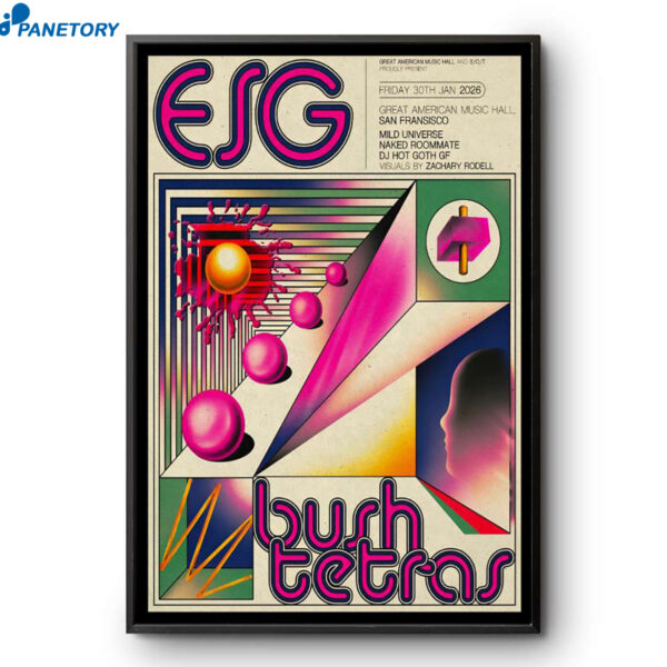 Esg And Bush Tetras Tour San Francisco CA Jan 30 2026 Poster