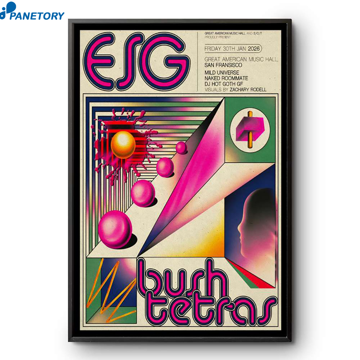Esg And Bush Tetras Tour San Francisco Ca Jan 30 2026 Poster 2 Esg And Bush Tetras Tour San Francisco Ca Jan 30 2026 Poster