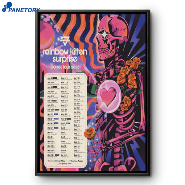 Rainbow Kitten Surprise Tour Bones 2026 Poster