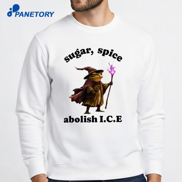Wizard Frog Sugar Spice Abolish ICE 2026 Shirt