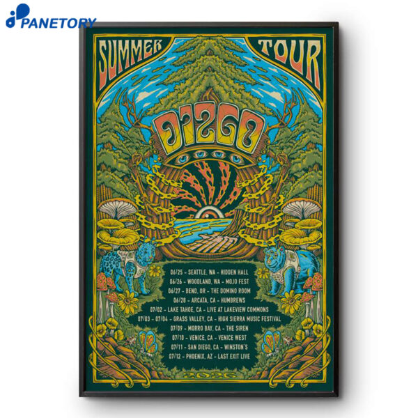 DIZGO Summer Tour 2026 Poster