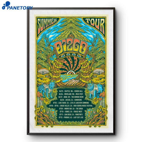 Dizgo Summer Tour 2026 Poster
