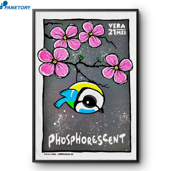 Phosphorescent Groningen NL May 21 2026 Poster