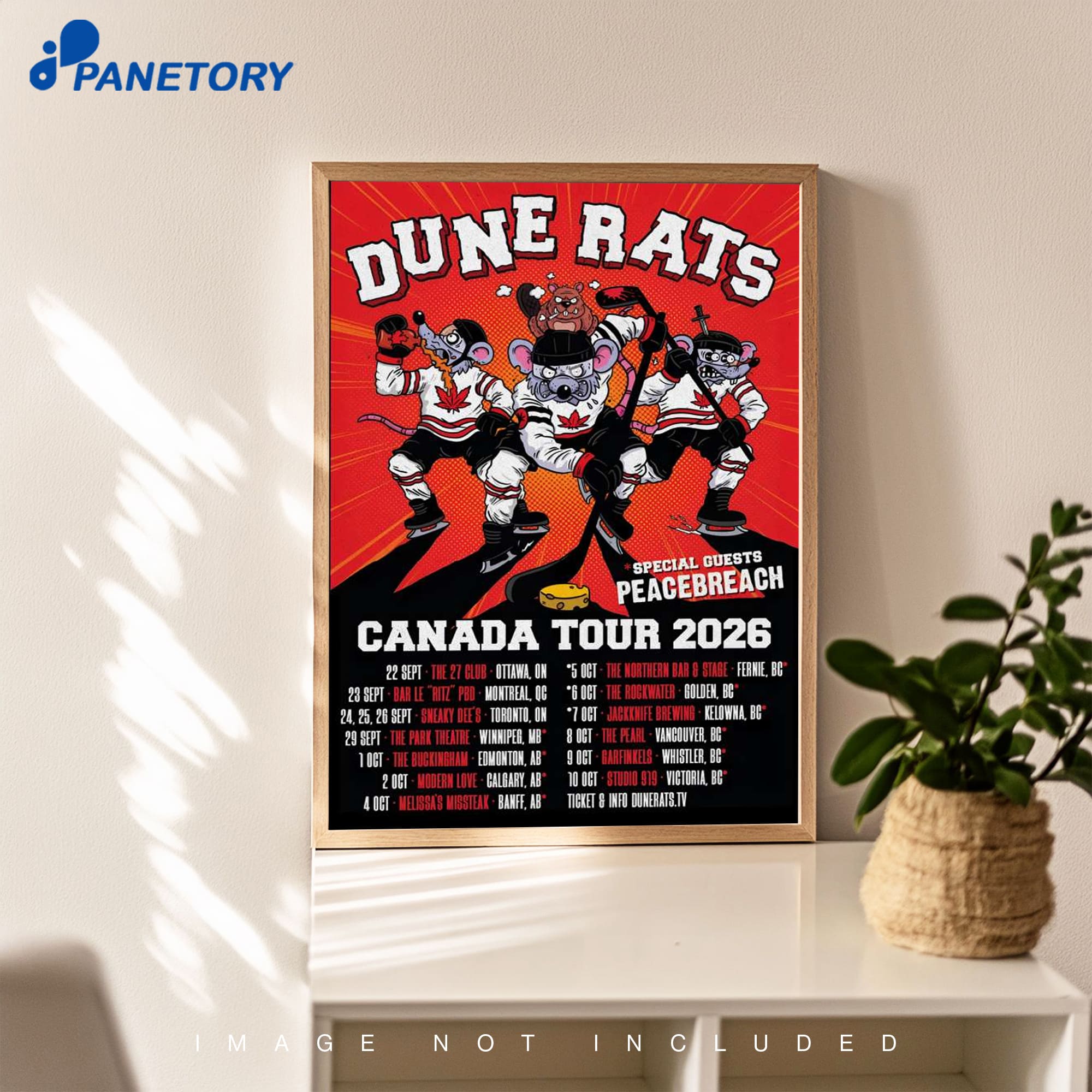 Dune Rats Canada Tour 2026 Poster Dune Rats Canada Tour 2026 Poster