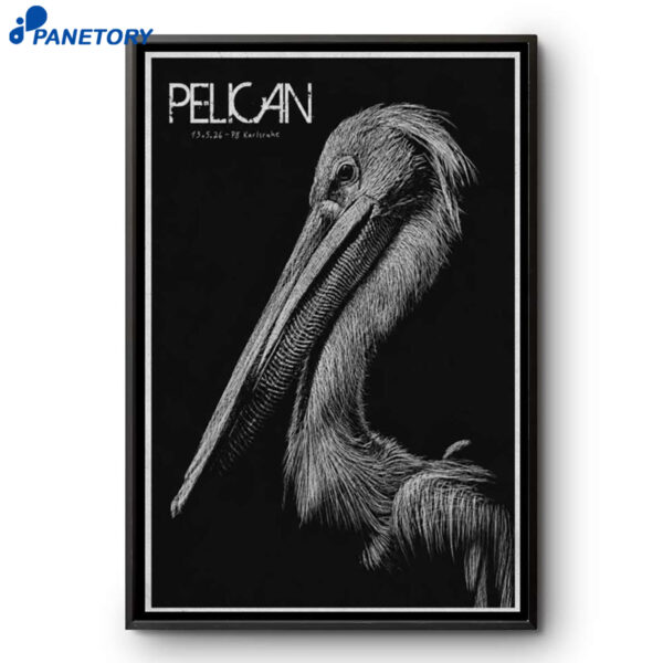 Pelican Karlsruhe May 13 2026 Poster