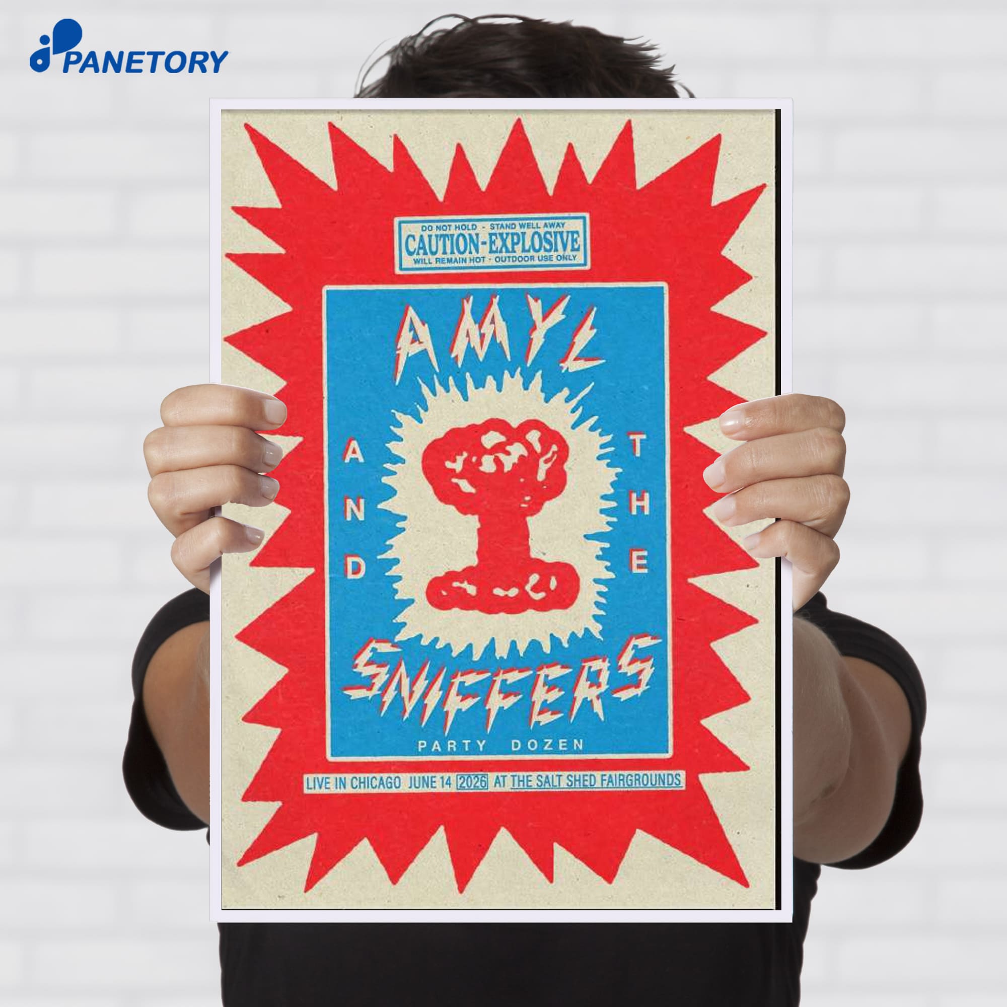 Amyl And The Sniffers Chicago The Salt Shed Jun 14 2026 Poster Amyl And The Sniffers Chicago The Salt Shed Jun 14 2026 Poster