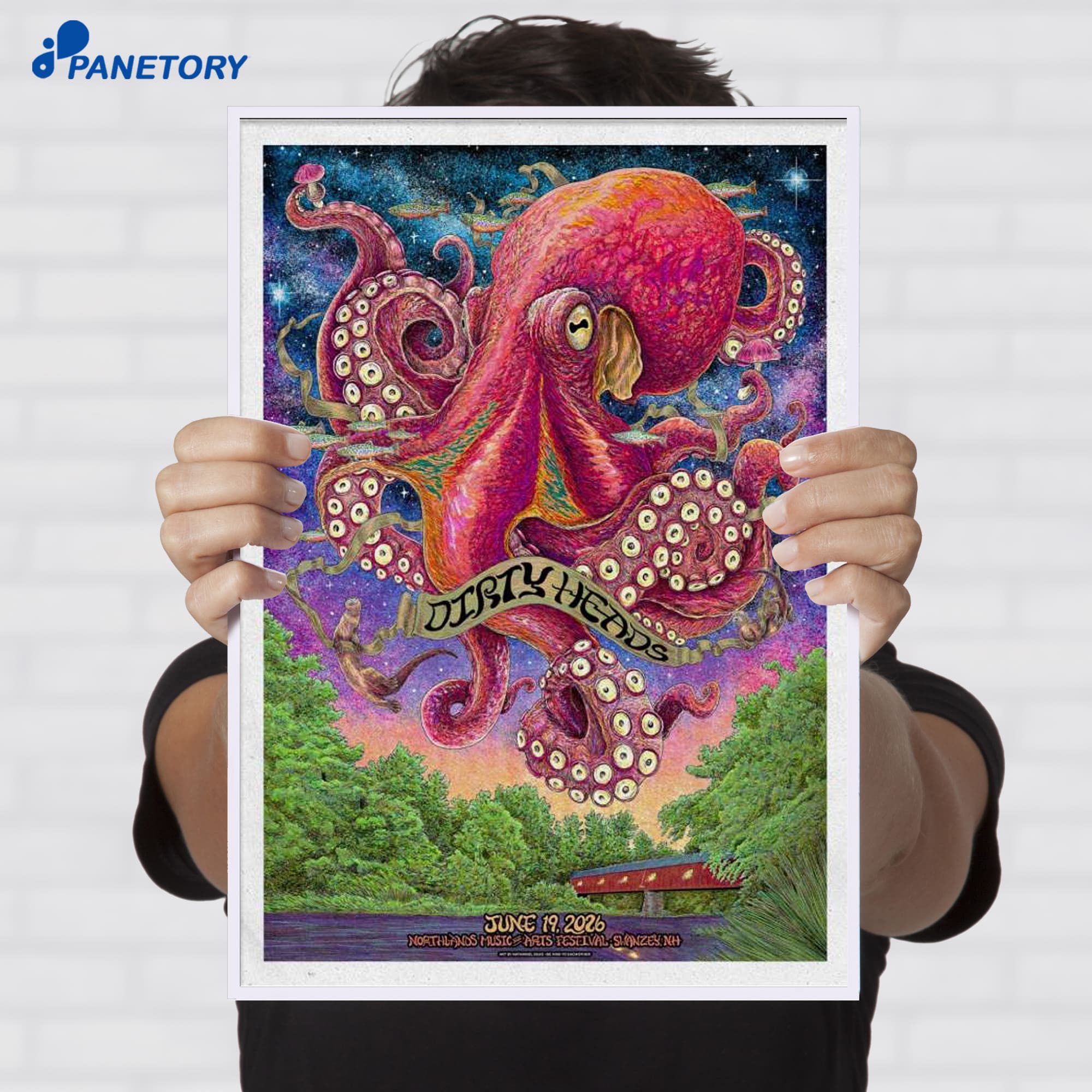 Dirty Heads Northlands Music &Amp; Arts Festival Swanzey Nh Jun 19 2026 Poster Dirty Heads Northlands Music &Amp; Arts Festival Swanzey Nh Jun 19 2026 Poster